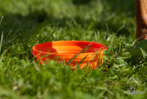 x-bowl